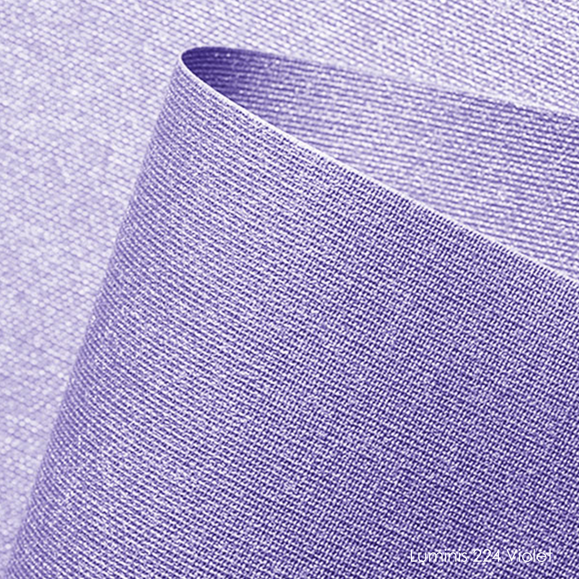 luminis-224 violet